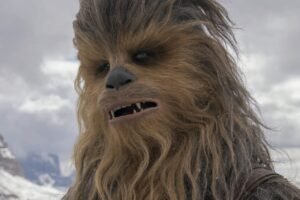 V hlbinách mora našli Chewbaccu. Pozrite si unikátneho tvora, ktorý sa volá podľ...