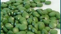 Zelená pro naše zdraví – chlorella a zelený ječmen