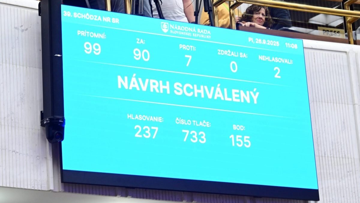 Ľudskoprávne organizácie kritizujú zmenu ústavy.