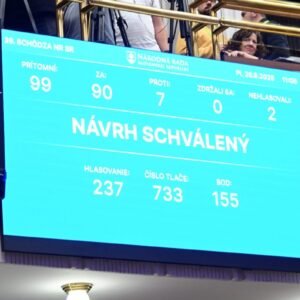 Ľudskoprávne organizácie kritizujú zmenu ústavy.