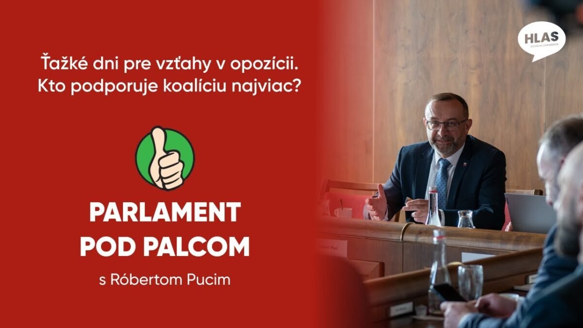 Parlament pod palcom: O opozičnom divadle, hádkach a podpore koalície