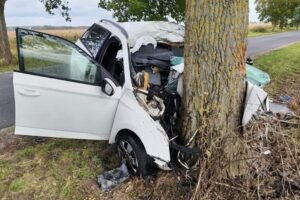 Tragická nehoda pri Dunajskej Strede: Vodič prešiel do protismeru.