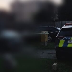 Pri násilnom skutku o život v okrese Veľký Krtíš zomrela žena.