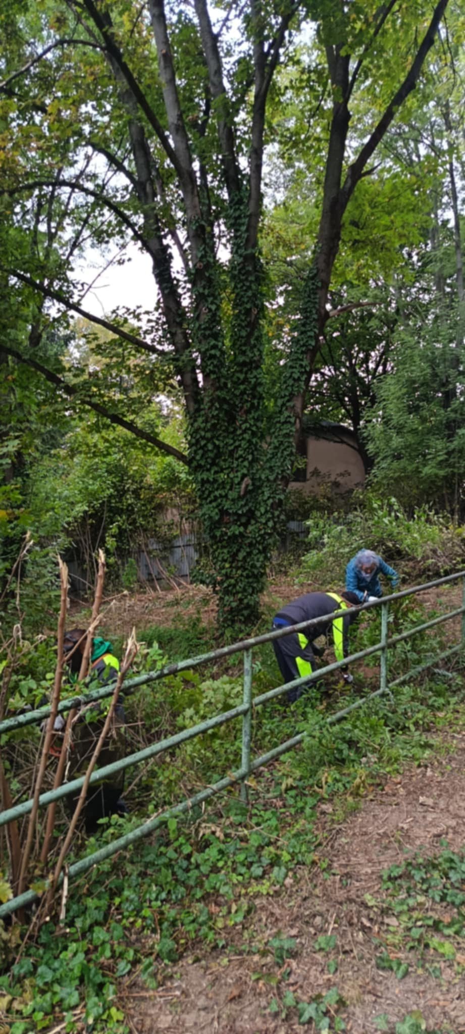 Mesto Levice: Dnes sa uskutočnila prvá brigáda v priestore bývalého amfiteátra, na ktorej sa zúčastnilo viac ako 50 dobrovoľníkov.