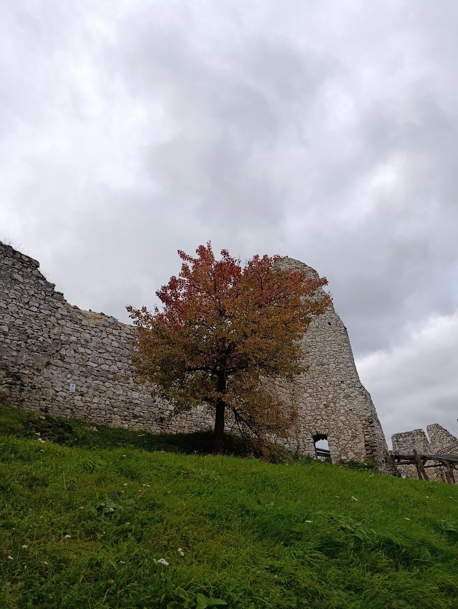 Čachtický hrad: Čachtický hrad spolupracuje s viacerými organizáciami a hlavne by sme radi spomenuli Vinárstvo Čachtické chotáre. Víno a jeho výroba je silno spätá s históriu hradu a panstva. Od nepamäti sa vínna rév