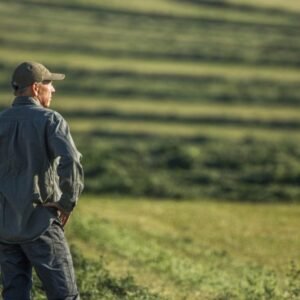 Farmárske bankroty prudko stúpajú kvôli nízkym cenám plodín, zatiaľ čo Trump zva...