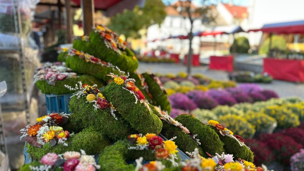 Mesto Banská Bystrica: INFORMÁCIE K DUŠIČKÁM