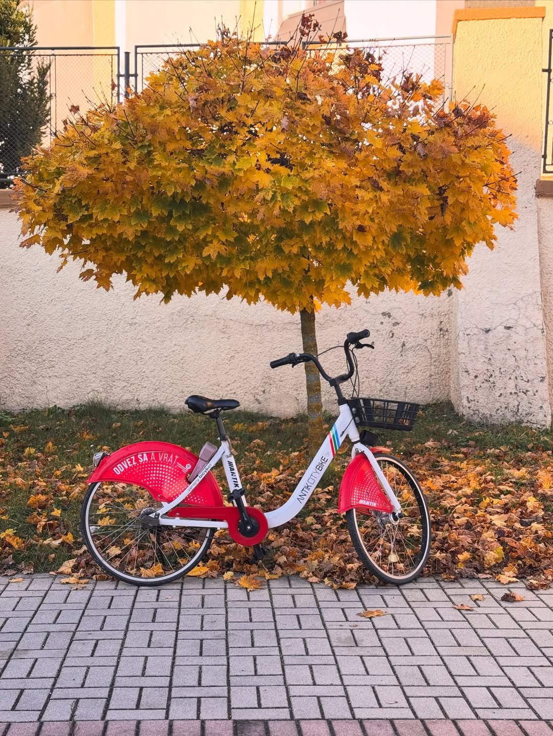 Mesto Kysucké Nové Mesto: Bikesharing v Kysuckom Novom Meste má pre tento rok za sebou úspešnú sezónu