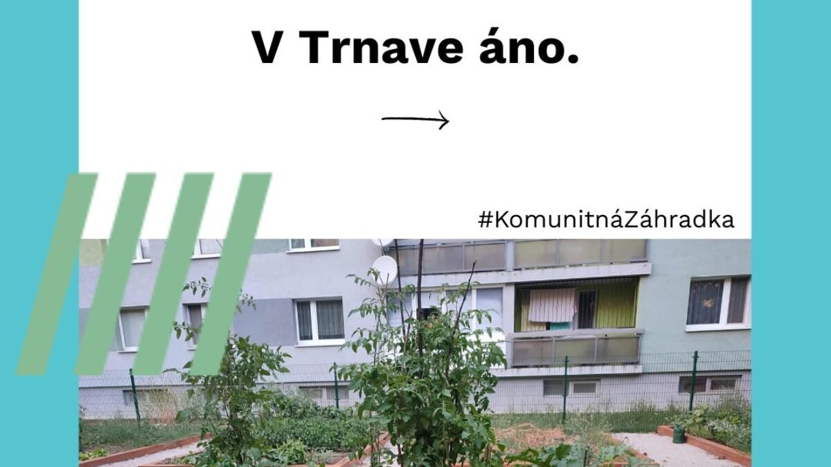 Mesto Trnava: Komunitné záhradky v Trnave ukazujú, že aj na sídlisku sa dá pestovať bez chémie, blízko domova a s jednoduchými pravidlami.