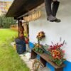 Mesto Žiar nad Hronom: ŽIARSKY JARMOK ZAČÍNA UŽ DNES