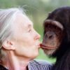 Pár vzácnych chvíľ s Jane Goodallovou: nestratila sa medzi šimpanzmi ani v Simps...