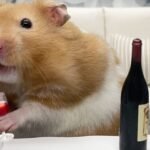 Křeček by za den mohl vypít „21 lahví vína“. Lidé proti němu absolutně nemají šanci