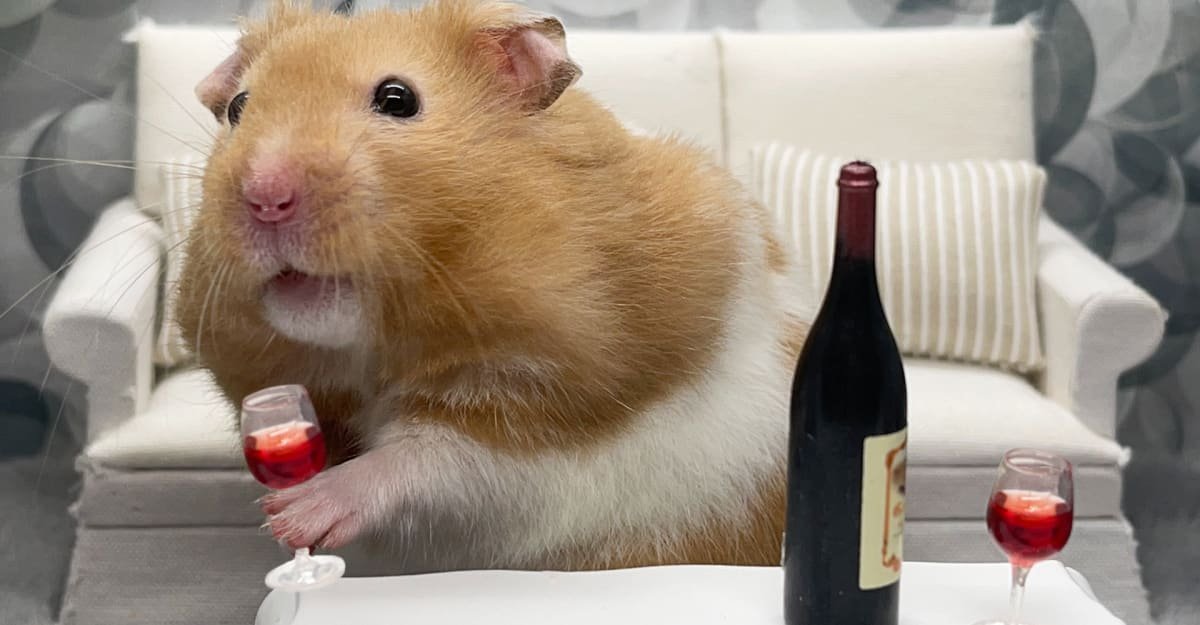 Křeček by za den mohl vypít „21 lahví vína“. Lidé proti němu absolutně nemají šanci