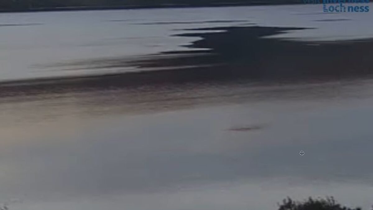 VIDEO: Z hlbín Loch Ness sa vynoril záhadný tvor. Lovec zachytil fascinujúce zábery
