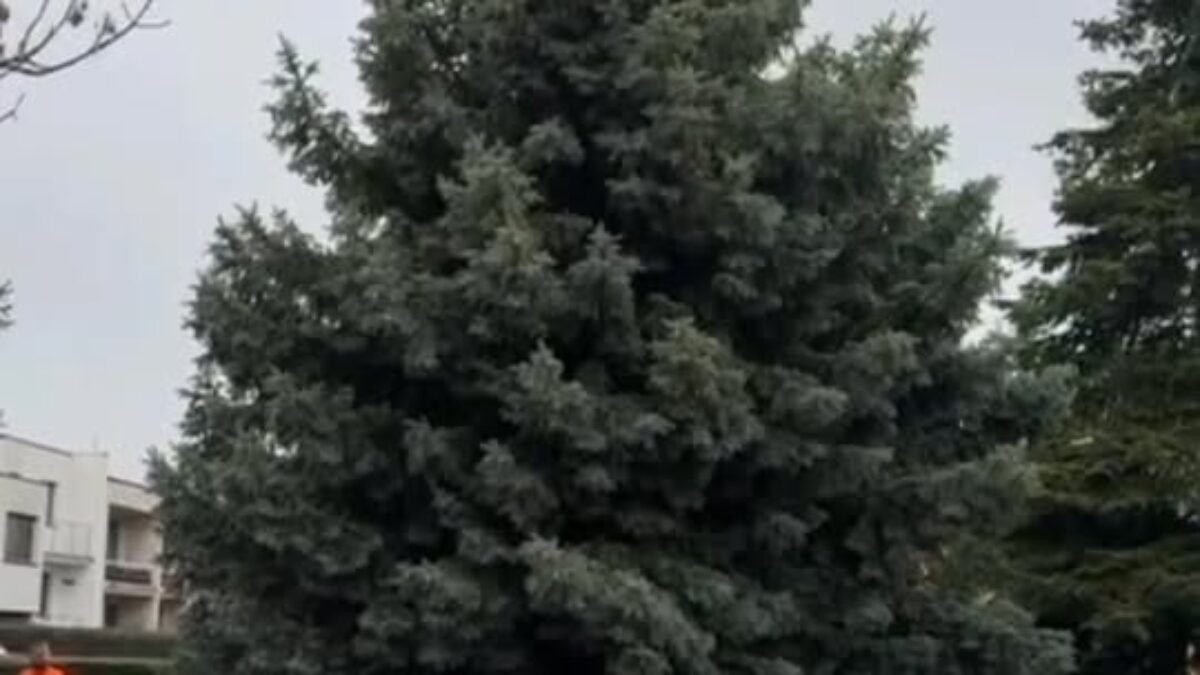 Mesto Piešťany: Komplikovaná nákladka dala zabrať, ale okolo jednej/druhej by už mal byť na ceste