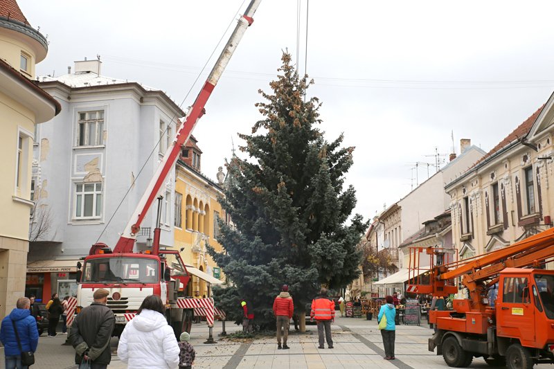 Mesto Piešťany: VIANOČNÝ STROMČEK