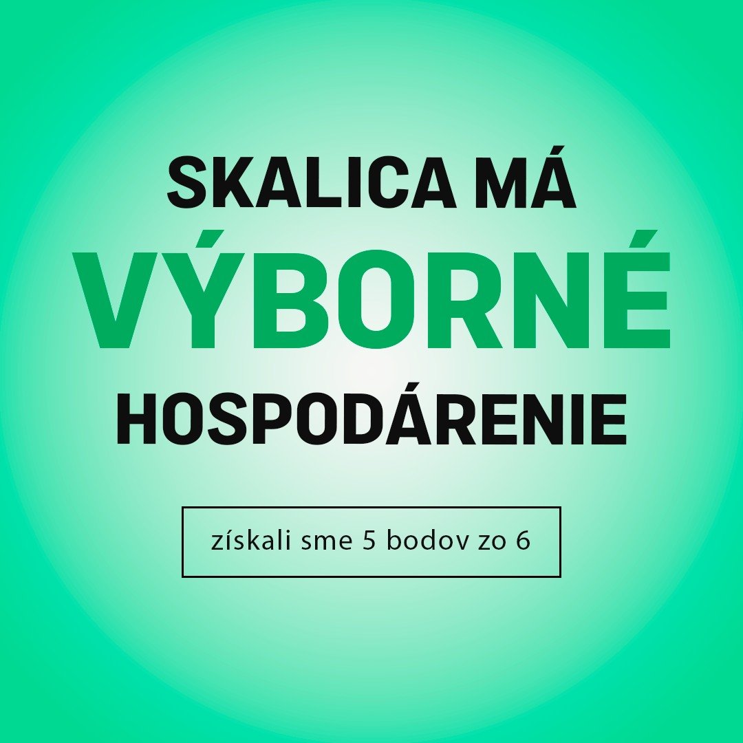 Mesto Skalica: SKALICA JE V HOSPODÁRENÍ OPÄŤ MEDZI NAJLEPŠÍMI