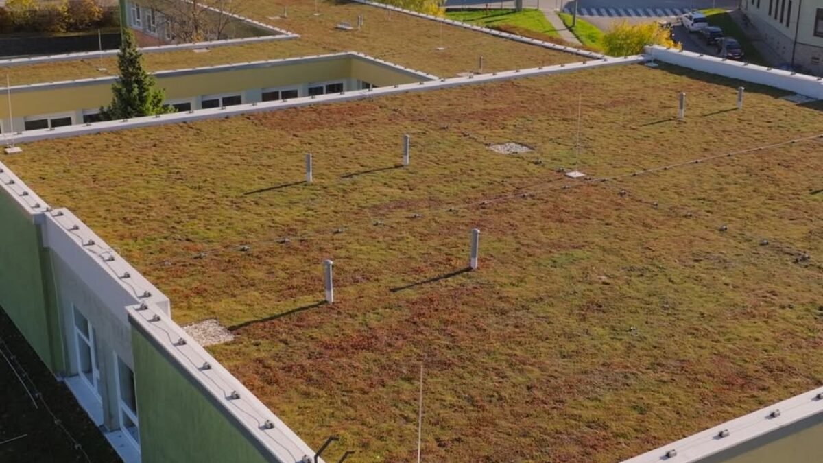 Mesto Skalica: Skalicu čaká ďalší rok plný veľkých projektov. Základná škola a ŠKD, Strážnická 1, Skalica sa dočkala novej zelenej strechy a na Vajanského ju práve dokončujeme. Takto vyzerá budúcnosť, do ktorej sa