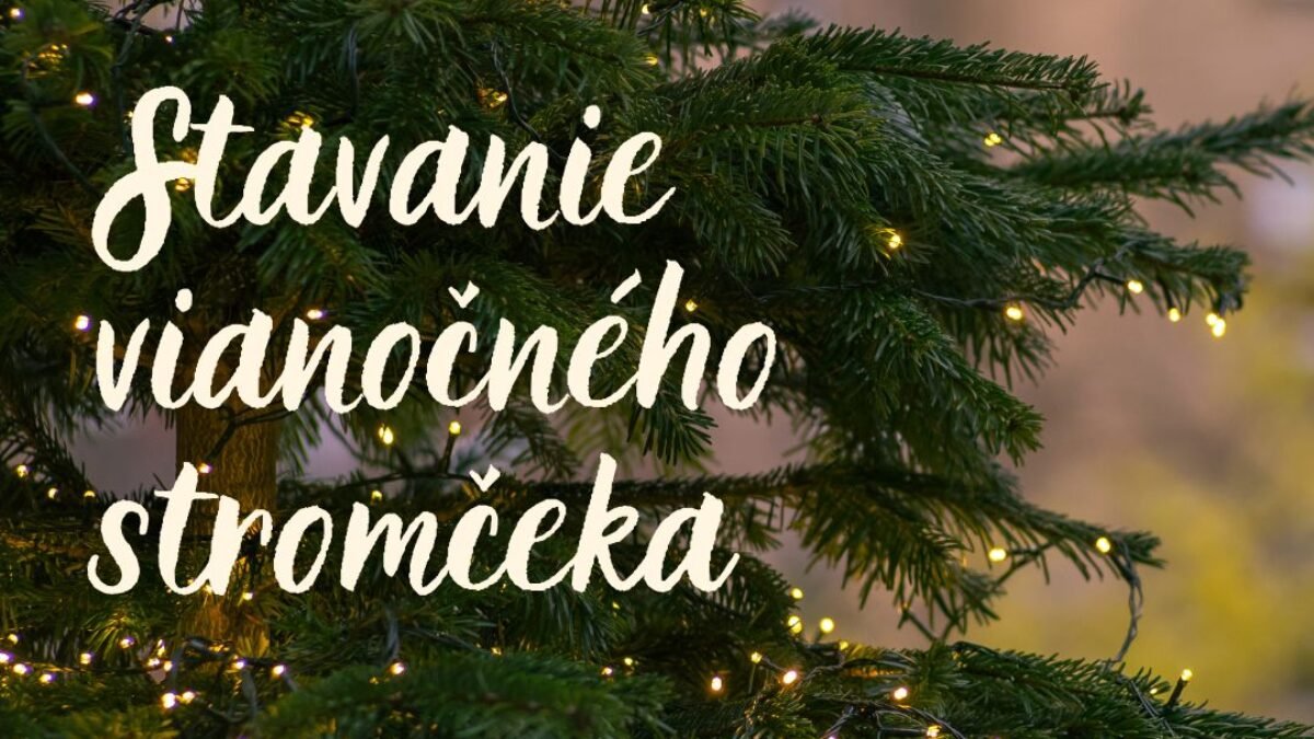 Mesto Topoľčany: Blíži sa najkrajší čas v roku a naše námestie opäť ozdobí VIANOČNÝ STROMČEK.