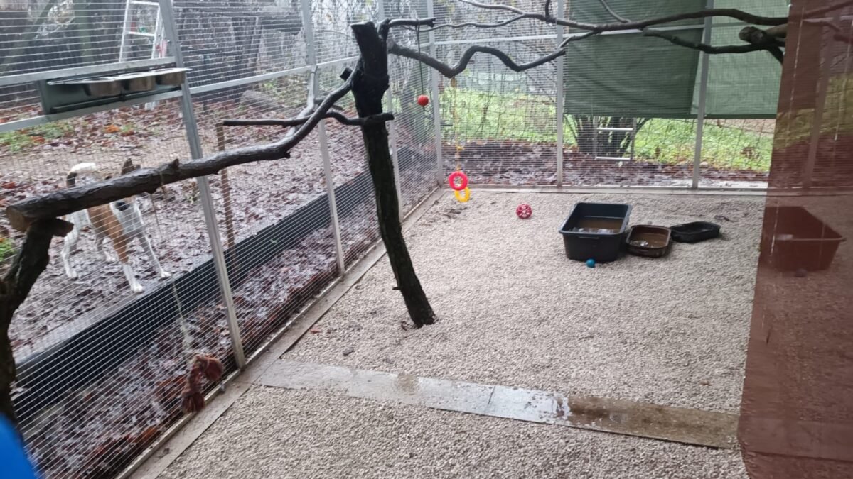 Konečná verzia Voliery vrátane úpravy vnútra…..