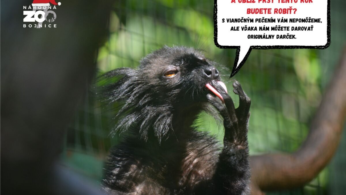 zoo bojnice: s vianočným pečením vám nepomôžeme, ale s darčekmi ZOO BOJNICE: S vianočným pečením vám nepomôžeme, ale s darčekmi áno.