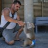 Top foto dňa (26. jún 2026): Ochladzovanie opičky, zemetrasenie vo Venezuele, ka...