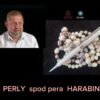 Štefan Harabin: Slovensko má právo okamžite vystúpiť z EÚ, ktorá hrubo porušuje ...