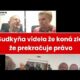 TV MY: Sudkyňa, aby mohla odsúdiť Bombica, vojdením do jeho hlavy zistila i to, ...