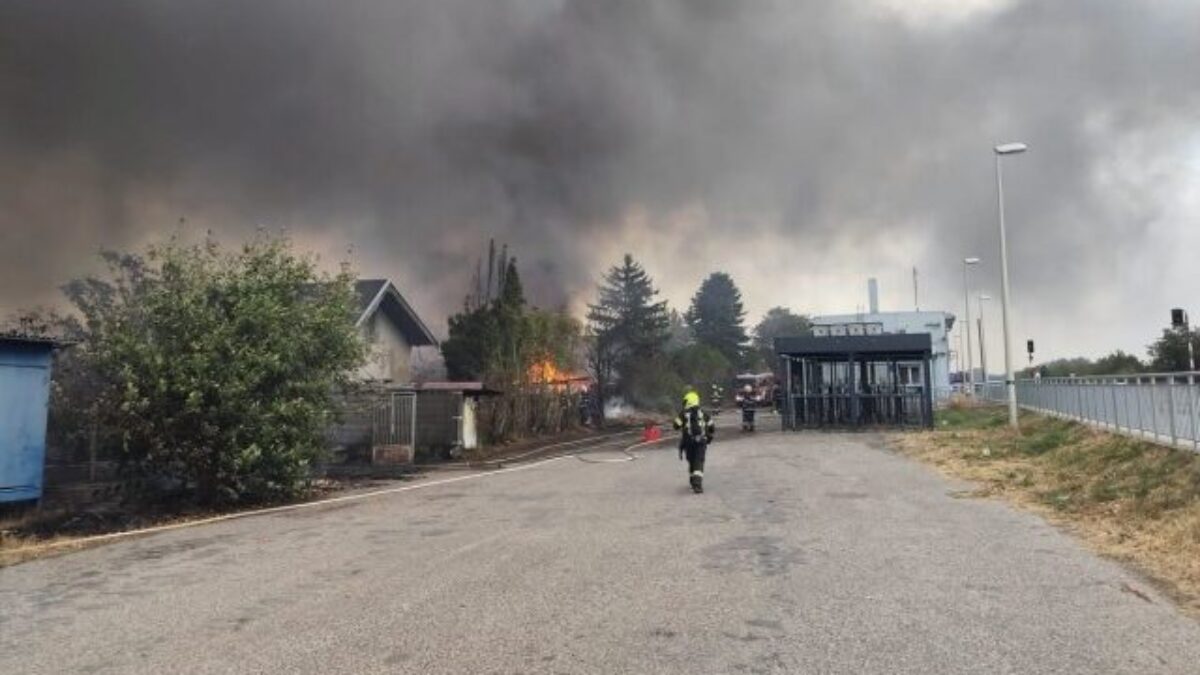 Požiar porastu a chát v Dunajskej Lužnej zasiahol takmer tri hektáre, škoda bola vyčíslená na 250-tisíc eur – FOTO