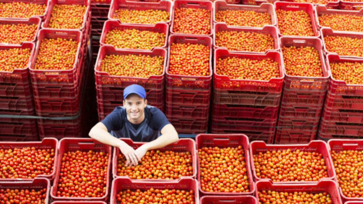 Slovensko ťahá exportný rekord španielskeho regiónu Granada, vývoz na náš trh vyskočil o 55 percent