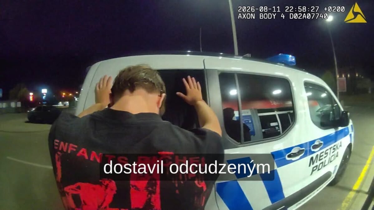 Mesto Dubnica nad Váhom: MESTSKÁ POLÍCIA VYRIEŠILA HNEĎ DVA SKUTKY NARAZ