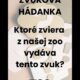 ZOO BOJNICE: HÁDANKA NA VÍKEND