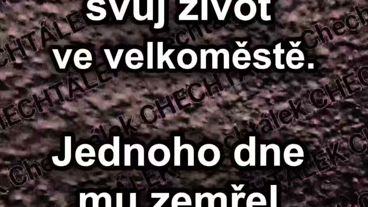 \ud83d\ude01\ud83d\ude01\n #sranda #vtipy #memes #humor #fyp\u30b7 #smile“},“is_text_only_story“:false,“id“:“UzpfSTEwMDA2NzMzOTkzOTEzNToxMzcxNzAxMzM4NDE3ODUxOjEzNzE3MDEzMzg0MTc4NTE=“},“__module_operat